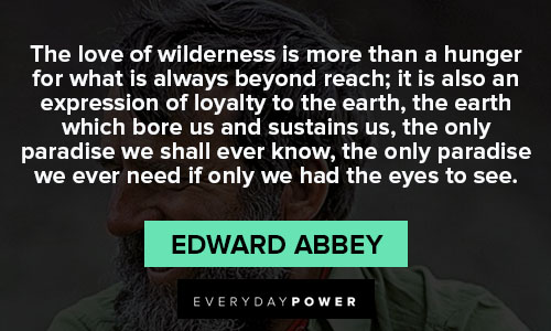 Edward Abbey quotes on love