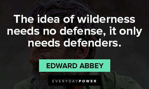 Edward Abbey quotes about being out in the wilderness