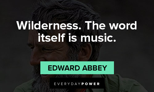 Edward Abbey quotes about wilderness. the word itself is music