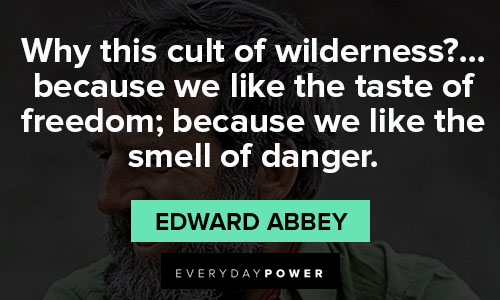 Edward Abbey quotes about freedom