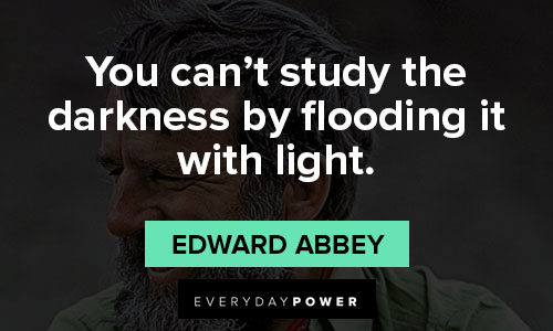 Edward Abbey quotes about you can’t study the darkness by flooding it with light