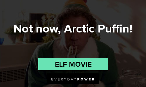 Elf quotes that not now, Arctic Puffin