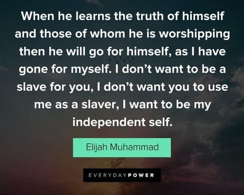 Wise Elijah Muhammad Quotes