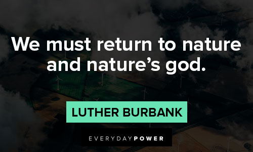 environment quotes on we must return to nature and nature's god