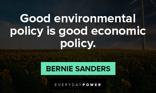 environment quotes about good environmental policy is good economic