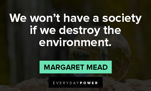 environment quotes about society
