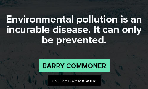 environment quotes on pollution