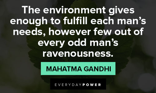 More environment quotes