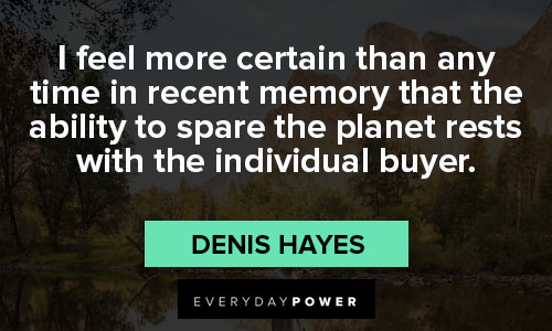 environment quotes about individual buyer