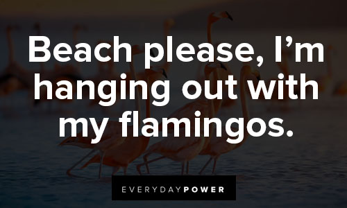 flamingo quotes on beach please, I’m hanging out with my flamingos