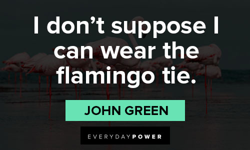 flamingo quotes on i don’t suppose I can wear the flamingo tie