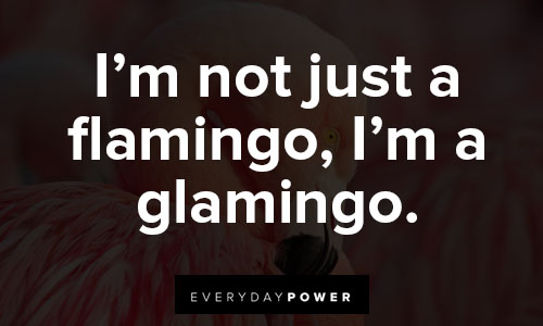 flamingo quotes on i’m not just a flamingo, I’m a glamingo