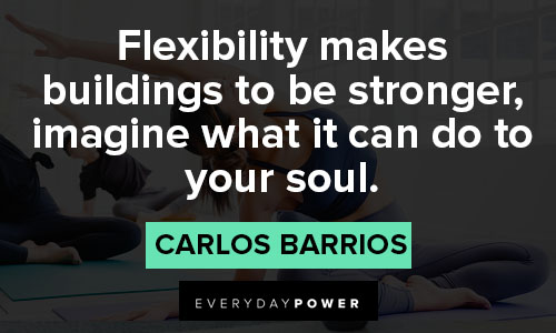 flexibility quotes on flexibility makes buildings to be stronger, imagine what it can do to your soul