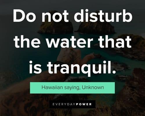 Hawaiian quotes about do not disturb the water that is tranquil