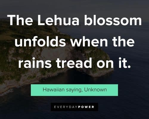 Hawaiian quotes to inspire you