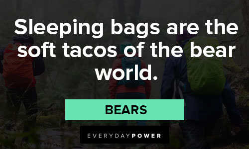hiking quotes on sleeping bags are the soft tacos of the bear world
