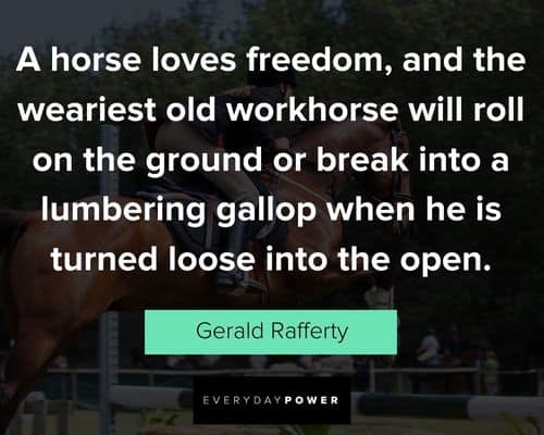 eye opening horse quotes