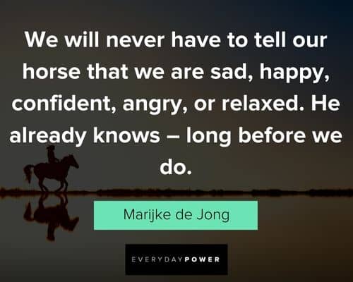 horse quotes from Marjike de Jong