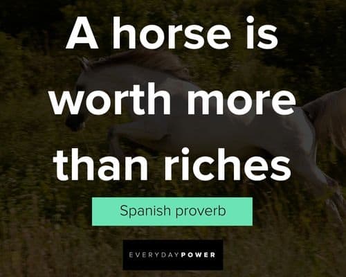 horse quotes about a horse is worth more than riches