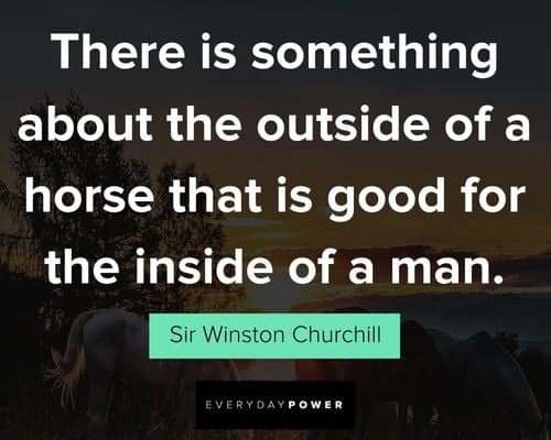 horse quotes about the outside of a horse that is good for the inside of a man