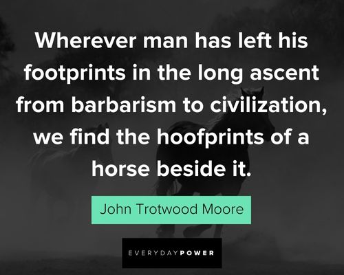 horse quotes to civilization