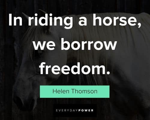 freedom horse quotes