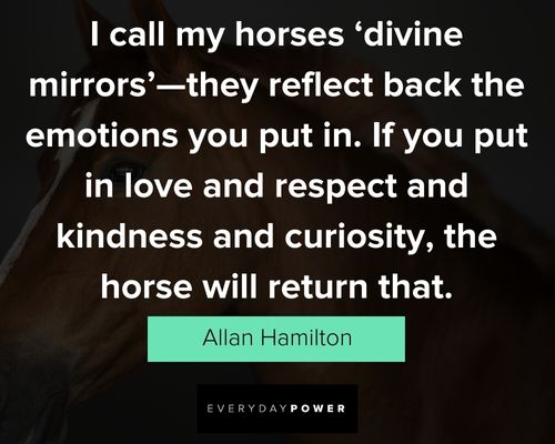 horse quotes about the divine mirrors