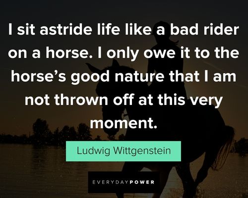 best horse quotes 