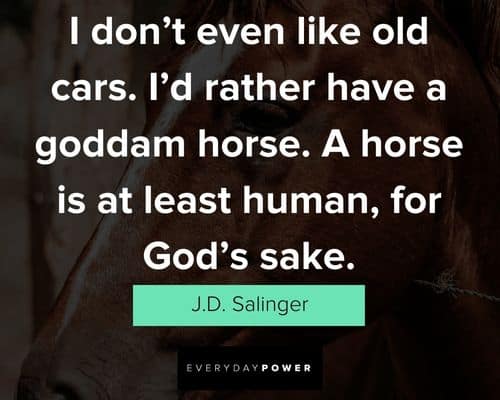 horse quotes about human