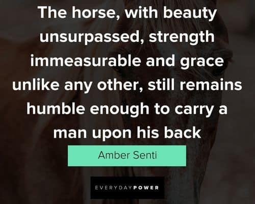 strength horse quotes