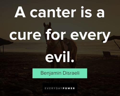 horse quotes about a canter is a cure for every evil