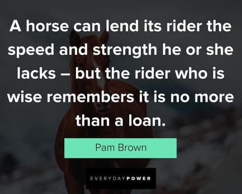 funny horse quotes
