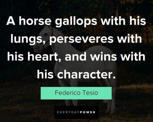 horse quotes from Federico Tesio