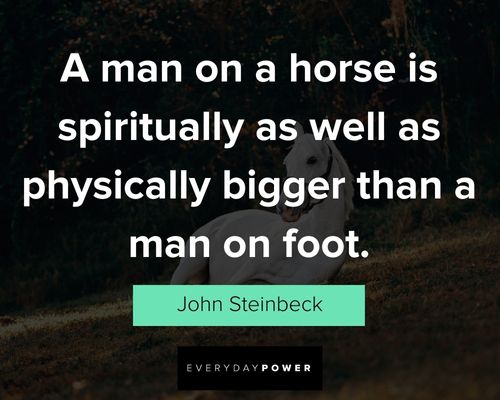 horse quotes about spiritually as well as physically bigger than a man on foot