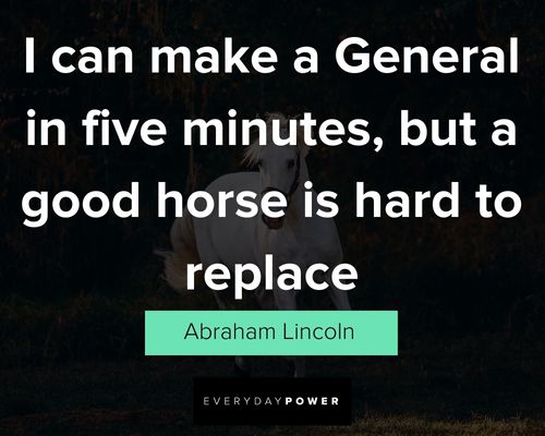 wise horse quotes
