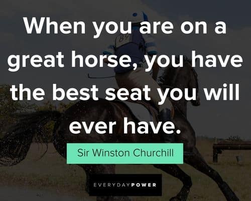 Inspirational horse quotes