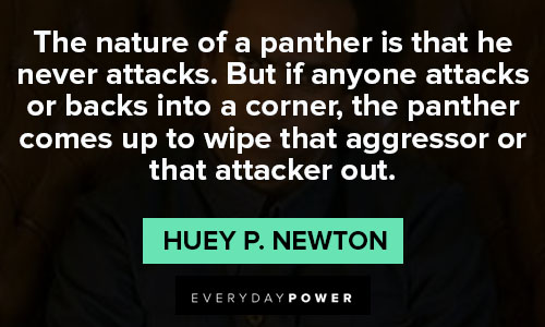 Huey P. Newton quotes about the nature of a panther is that he never attacks