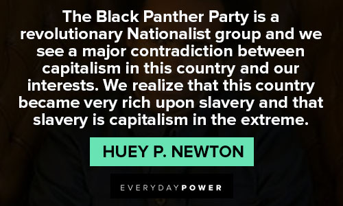 Huey P. Newton quotes about Black Panther 