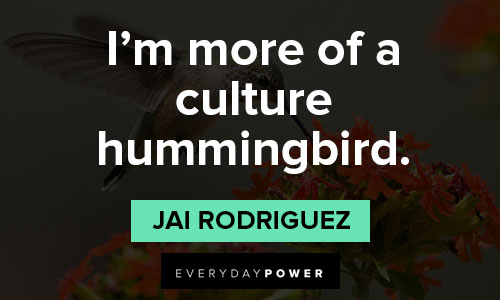 hummingbird quotes about culture 