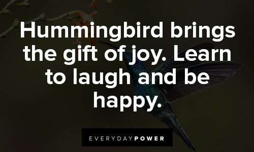 hummingbird quotes about gift