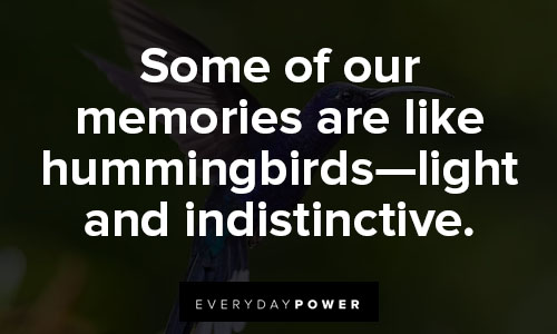 hummingbird quotes about memories