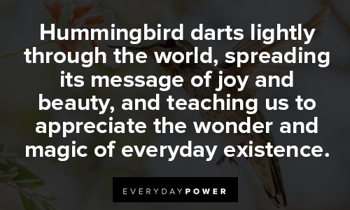 hummingbird quotes on message