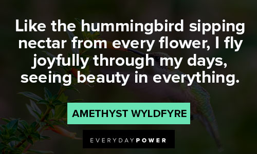 hummingbird quotes on flower