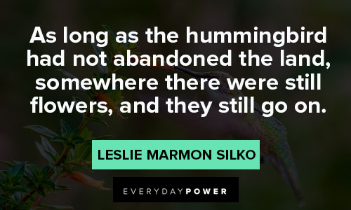 Wise hummingbird quotes