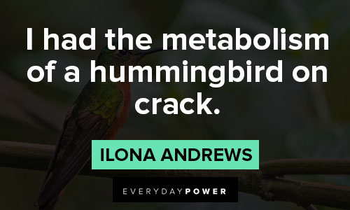 hummingbird quotes on i had the metabolism of a hummingbird on crack