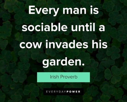 Special Irish quotes