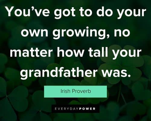 Wise Irish quotes