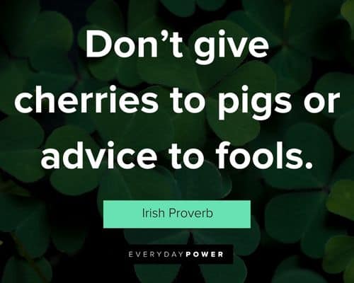 Irish quotes about don’t give cherries to pigs or advice to fools