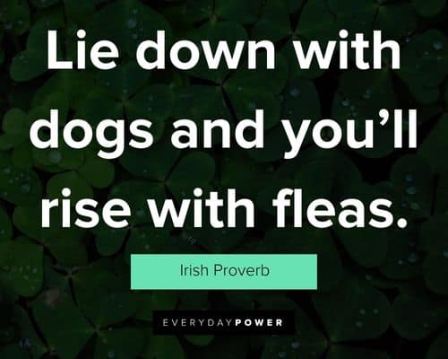Irish quotes about lie down with dogs and you’ll rise with fleas