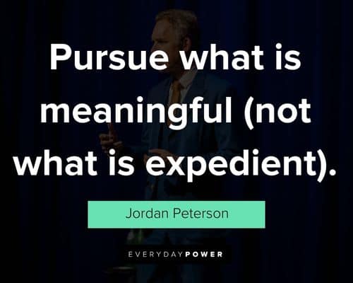 Jordan Peterson quotes on pursue what is meaningful